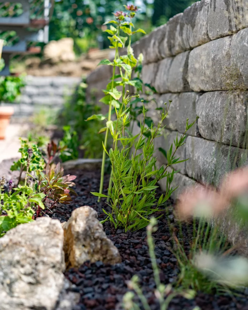 Gartengestaltung Erfurt